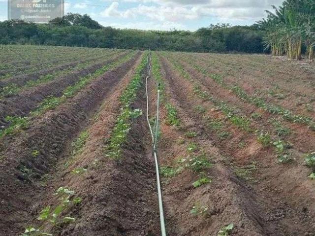 Sítio e chácara venda em Natal, Camaçari