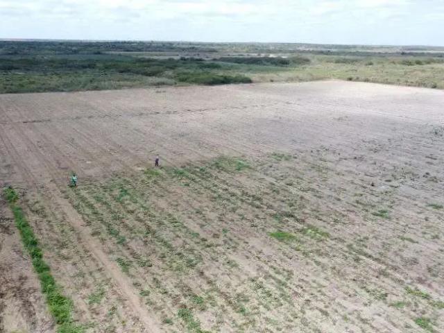Sítio e chácara venda em Região Geográfica Imediata de Salvador, Região Metropolitana de Salvador