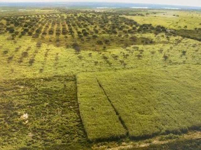 Sítio e chácara venda em Trairi, Região Geográfica Intermediária de Fortaleza