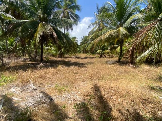 Sítio e chácara venda em Trairi, Região Geográfica Intermediária de Fortaleza