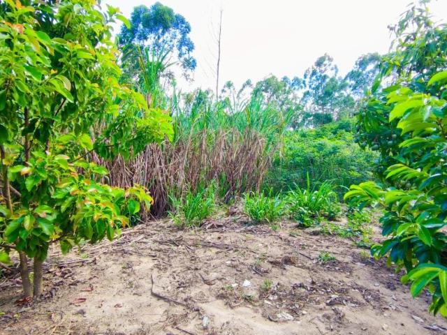 Sítio e chácara venda em Jardim Bica da Gloria, Tremembé