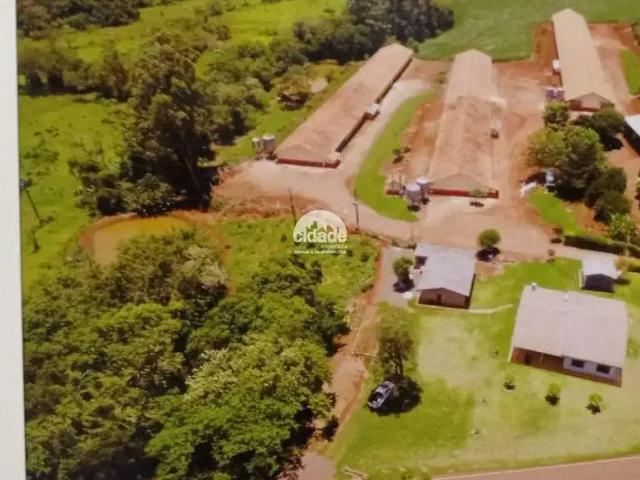 Sítio e chácara venda em Região Geográfica Imediata de Cascavel, Três Barras do Paraná