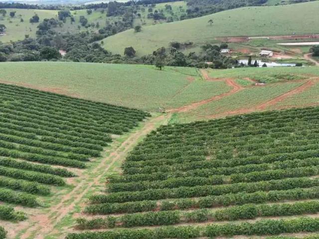 Sítio e chácara venda em Região Geográfica Imediata de Três Corações, Três Corações
