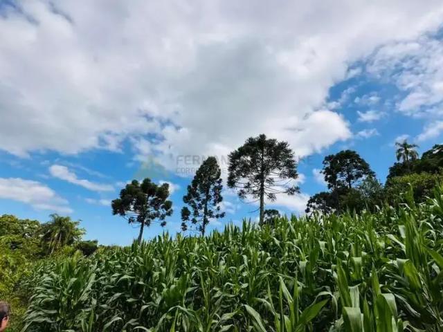 Sítio e chácara venda em Região Geográfica Imediata de Taquara - Parobé - Igrejinha, Três Coroas