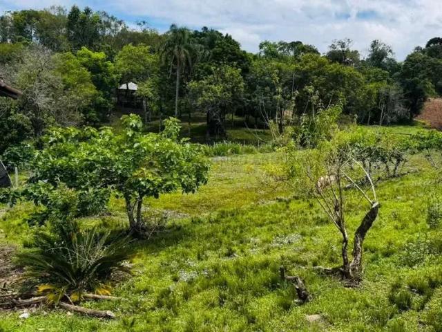 Sítio e chácara venda em Região Geográfica Imediata de Taquara - Parobé - Igrejinha, Três Coroas