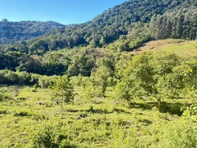 Sítio e chácara venda em Região Geográfica Imediata de Taquara - Parobé - Igrejinha, Três Coroas