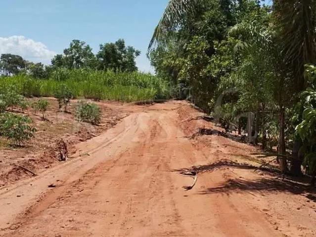 Sítio e chácara venda em Região Imediata de Santa Fé do Sul, Três Fronteiras