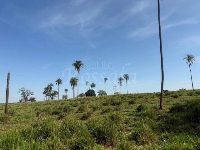 Sítio e chácara venda em Três Fronteiras, Região Geográfica Intermediária de São José do Rio Preto