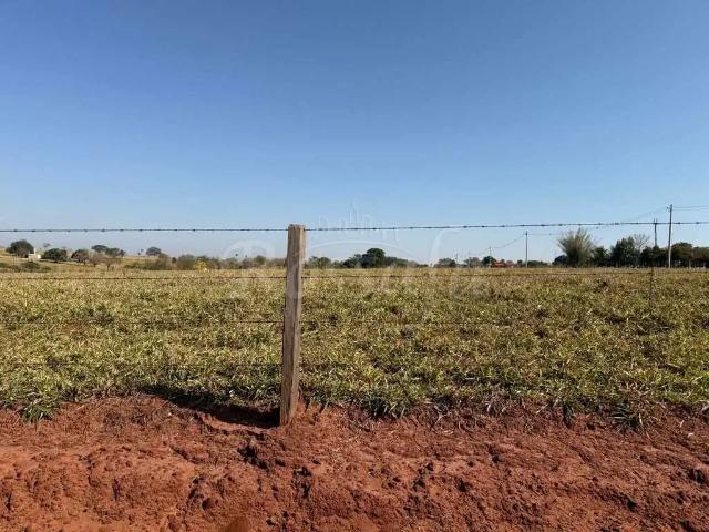 Sítio e chácara venda em Região Imediata de Santa Fé do Sul, Três Fronteiras