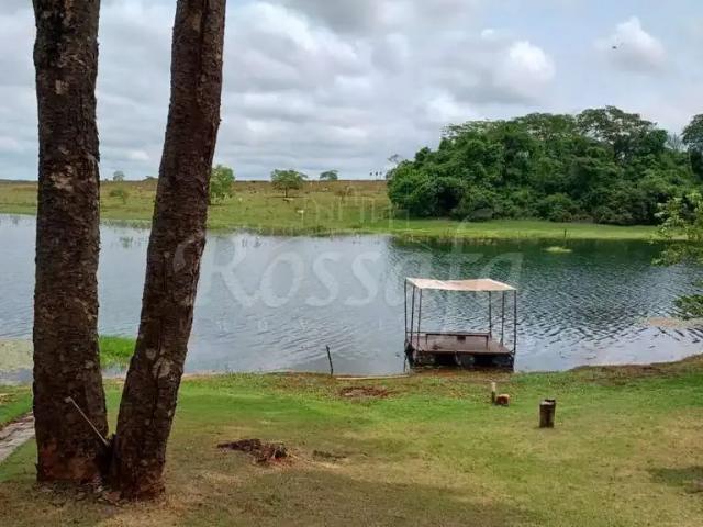 Sítio e chácara venda em Região Imediata de Santa Fé do Sul, Três Fronteiras