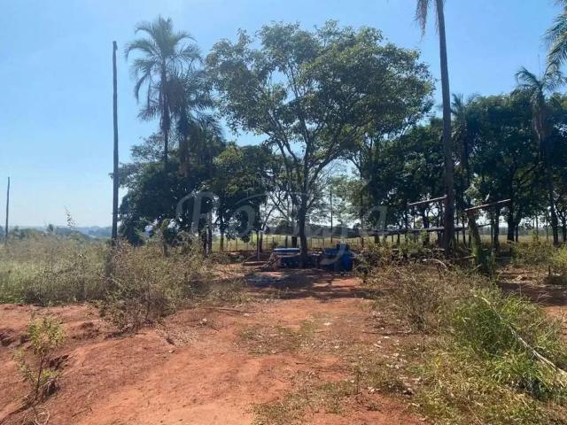 Sítio e chácara venda em Região Imediata de Santa Fé do Sul, Três Fronteiras