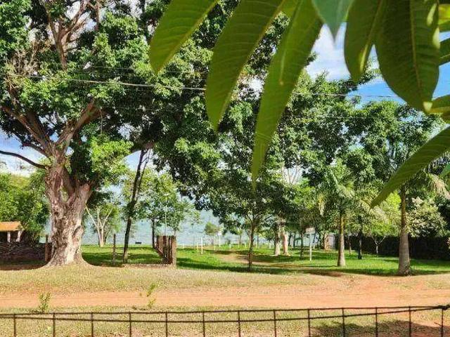 Sítio e chácara venda em Região Geográfica Imediata de Três Lagoas, Angélica