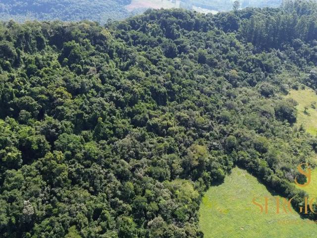 Sítio e chácara venda em Região Geográfica Imediata de Charqueadas - Triunfo - São Jerônimo, Região Metropolitana de Porto Alegre