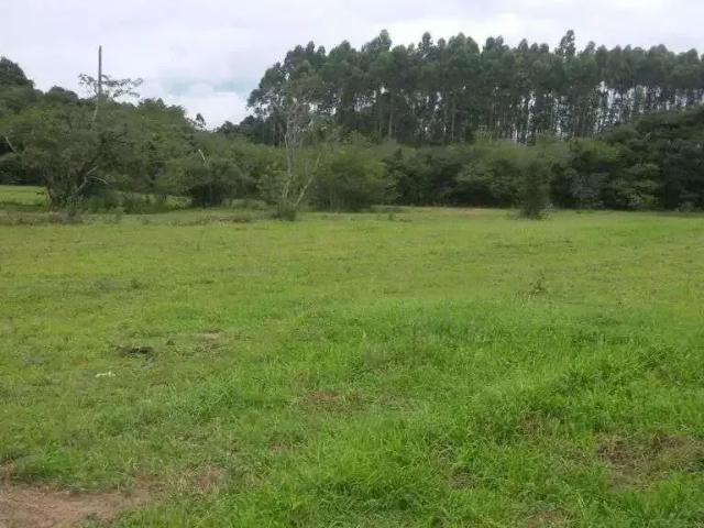 Sítio e chácara venda em Região Geográfica Imediata de Charqueadas - Triunfo - São Jerônimo, Região Metropolitana de Porto Alegre