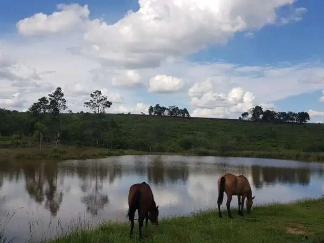 Sítio e chácara venda em Região Geográfica Imediata de Charqueadas - Triunfo - São Jerônimo, Região Metropolitana de Porto Alegre
