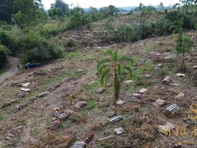 Sítio e chácara venda em Região Geográfica Imediata de Charqueadas - Triunfo - São Jerônimo, Região Metropolitana de Porto Alegre