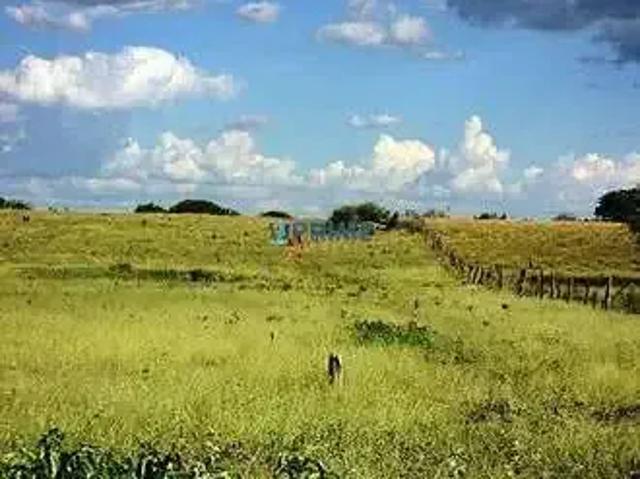 Sítio e chácara venda em Região Geográfica Imediata de Pelotas, Aglomeração Urbana do Sul