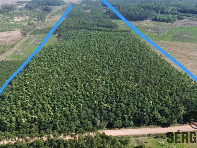 Sítio e chácara venda em Região Geográfica Imediata de Charqueadas - Triunfo - São Jerônimo, Região Metropolitana de Porto Alegre