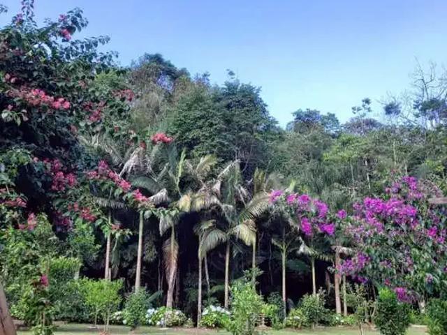 Sítio e chácara venda em Região Geográfica Imediata de Rio do Sul, Trombudo Central