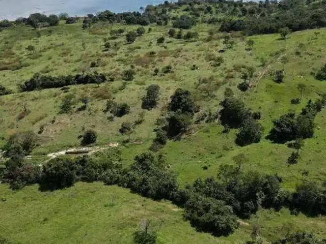 Sítio e chácara venda em Região Geográfica Imediata de Uberlândia, Tupaciguara