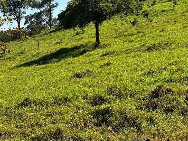 Sítio e chácara venda em Cyntia, Tupaciguara