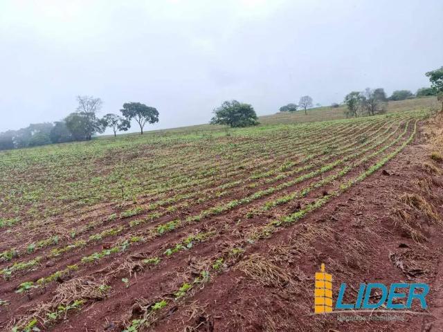 Sítio e chácara venda em Região Geográfica Imediata de Uberlândia, Tupaciguara
