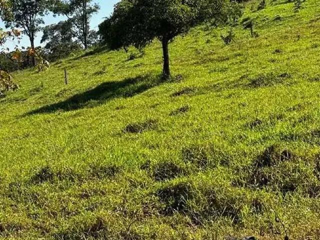 Sítio e chácara venda em Região Geográfica Imediata de Uberlândia, Tupaciguara
