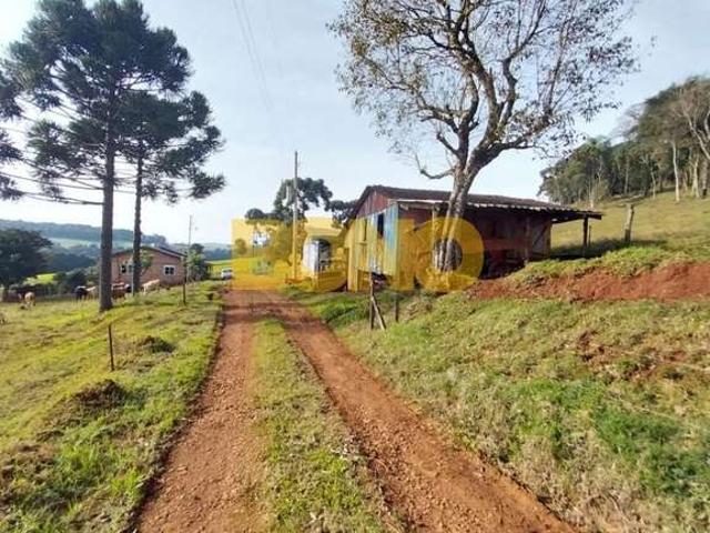 Sítio e chácara venda em Região Geográfica Imediata de Lagoa Vermelha, Tupanci do Sul