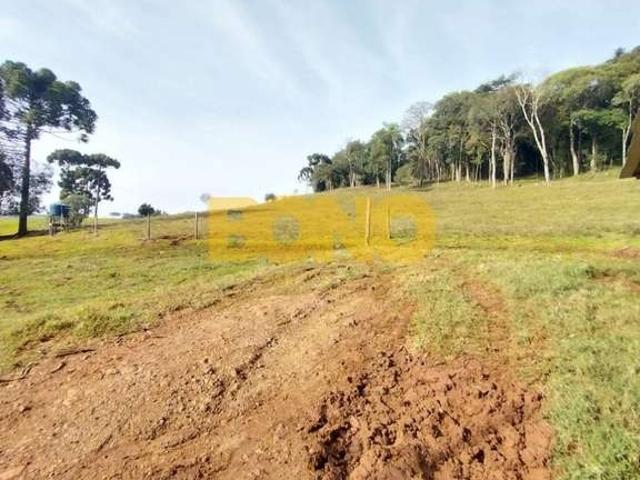 Sítio e chácara venda em Região Geográfica Imediata de Lagoa Vermelha, Tupanci do Sul