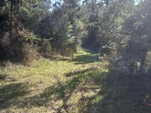 Sítio e chácara venda em Região Geográfica Imediata de Curitiba, Região Metropolitana de Curitiba