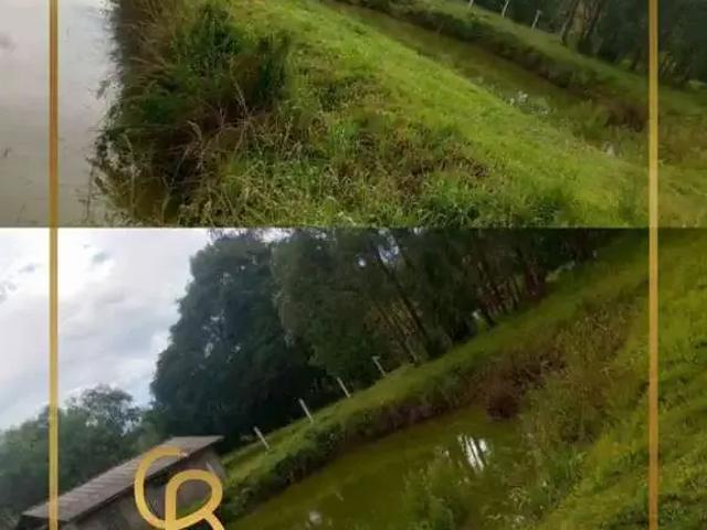 Sítio e chácara venda em Região Geográfica Imediata de Guarapuava, Turvo