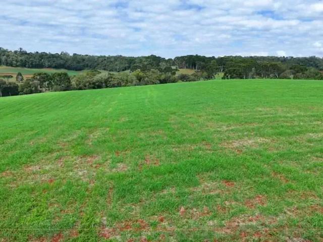 Sítio e chácara venda em Região Geográfica Imediata de Guarapuava, Turvo