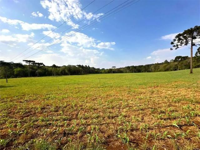 Sítio e chácara venda em Região Geográfica Imediata de Guarapuava, Turvo