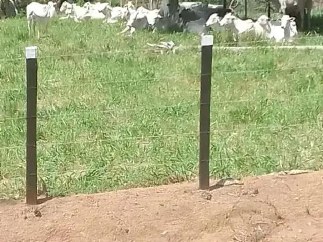 Sítio e chácara venda em Santaluz, Região Nordeste