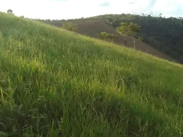 Sítio e chácara venda em Santaluz, Região Nordeste