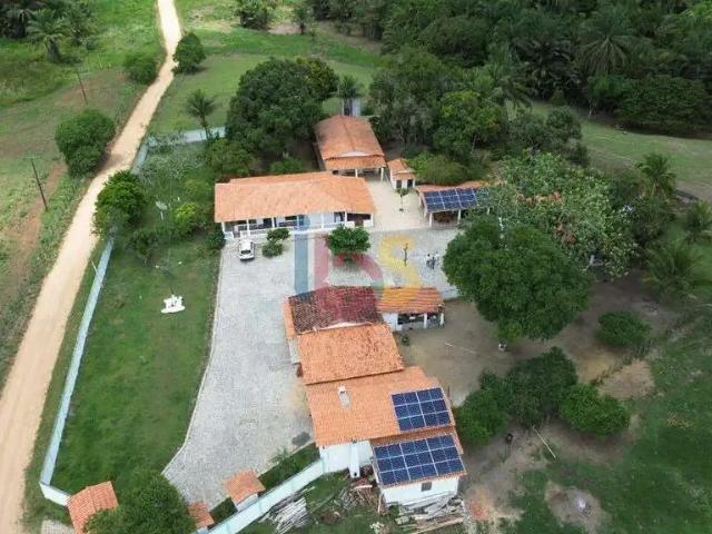 Sítio e chácara venda em Conceição do Coité, Região Nordeste