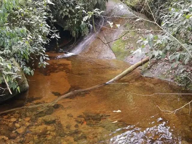 Sítio e chácara venda em Região Imediata de Caraguatatuba-Ubatuba-São Sebastião, Região Metropolitana do Vale do Paraíba e Litoral Norte