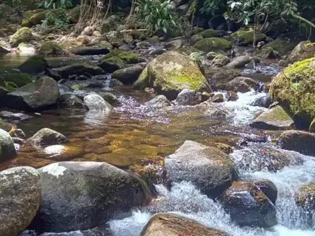 Sítio e chácara venda em Região Imediata de Caraguatatuba-Ubatuba-São Sebastião, Região Metropolitana do Vale do Paraíba e Litoral Norte