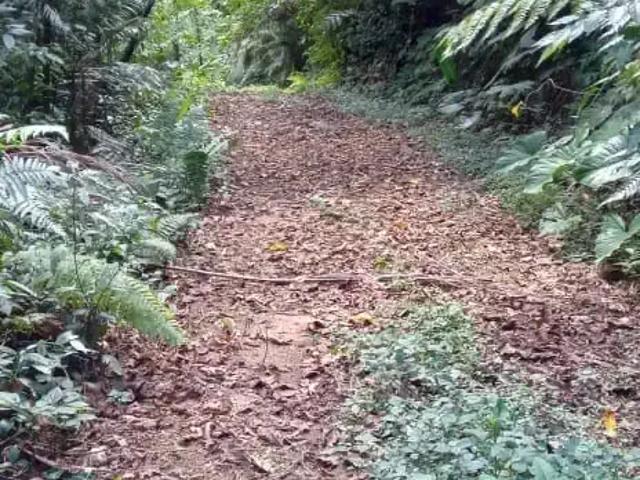 Sítio e chácara venda em Região Imediata de Caraguatatuba-Ubatuba-São Sebastião, Região Metropolitana do Vale do Paraíba e Litoral Norte