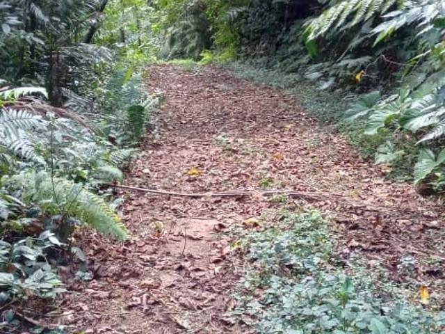 Sítio e chácara venda em Sertão do Ubatumirim, Ubatuba