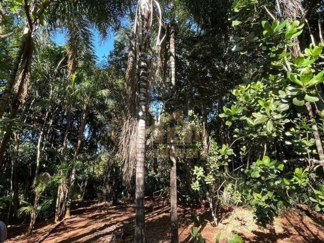 Sítio e chácara venda em Uberaba, Região Geográfica Intermediária de Uberaba