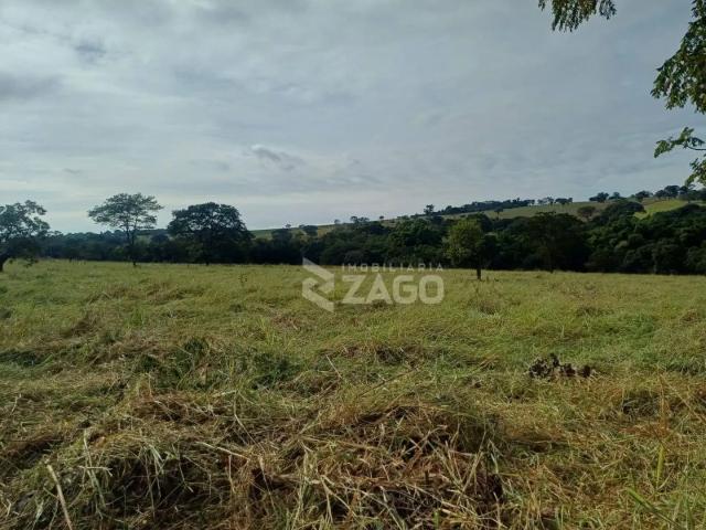 Sítio e chácara venda em Uberaba, Região Geográfica Intermediária de Uberaba