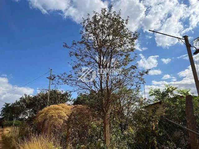 Sítio e chácara venda em Região Geográfica Imediata de Uberaba, Uberaba