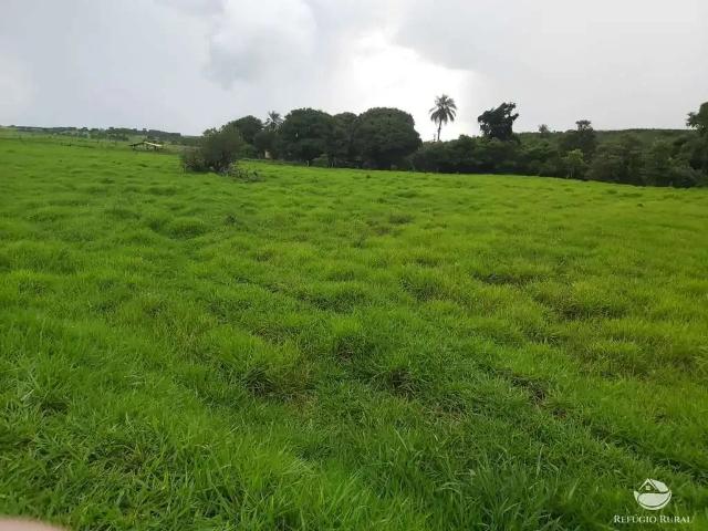 Sítio e chácara venda em Região Geográfica Imediata de Uberaba, Uberaba