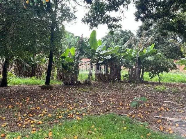 Sítio e chácara venda em Região Geográfica Imediata de Uberaba, Uberaba