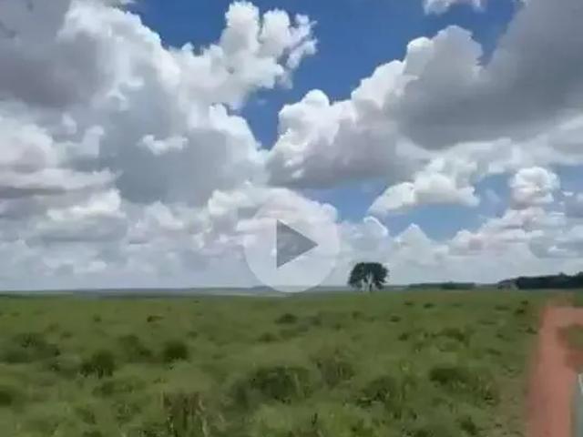 Sítio e chácara venda em Região Geográfica Imediata de Uberlândia, Oliveira Fortes