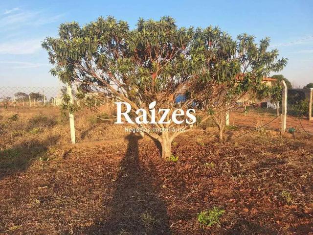 Sítio e chácara venda em Região Geográfica Imediata de Uberlândia, Oliveira Fortes