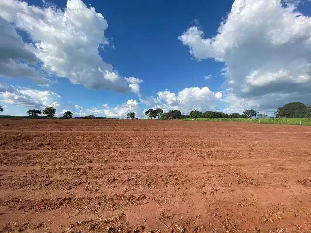 Sítio e chácara venda em Região Geográfica Imediata de Uberlândia, Oliveira Fortes