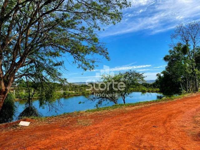 Sítio e chácara venda em Região Geográfica Imediata de Uberlândia, Oliveira Fortes