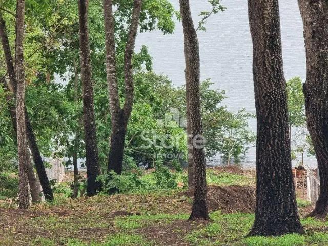 Sítio e chácara venda em Região Geográfica Imediata de Uberlândia, Oliveira Fortes